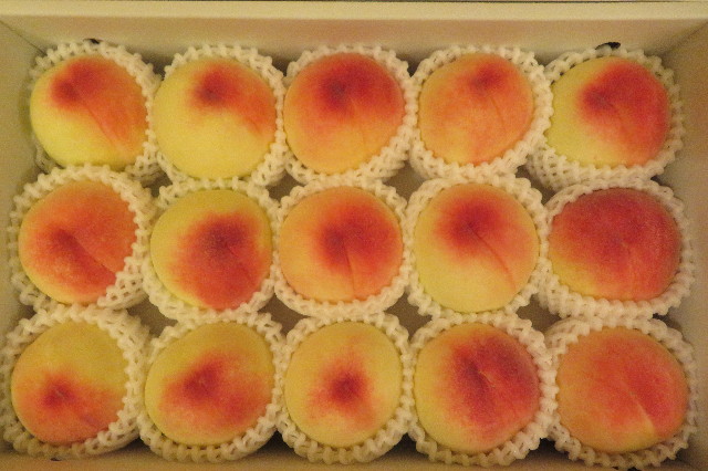 ファイル 6334-5.jpg