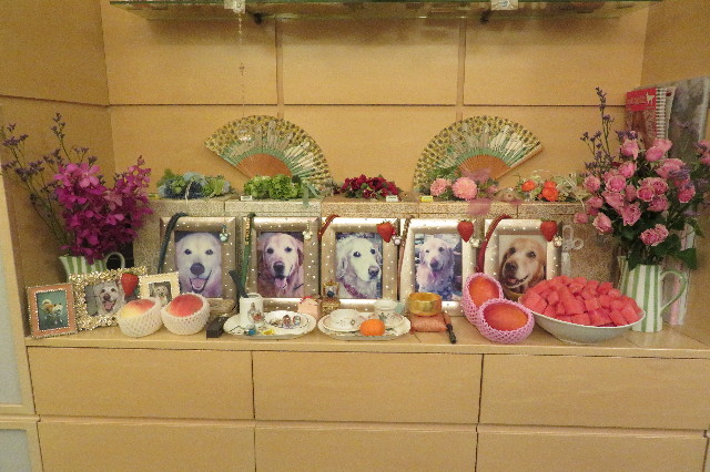 ファイル 6335-3.jpg