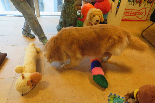 ファイル 6335-4.jpg