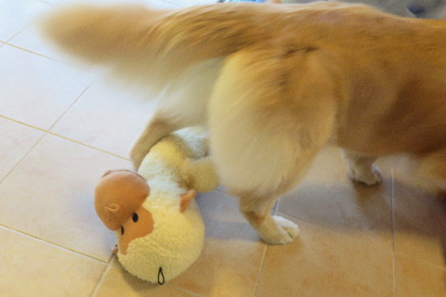 ファイル 6335-5.jpg