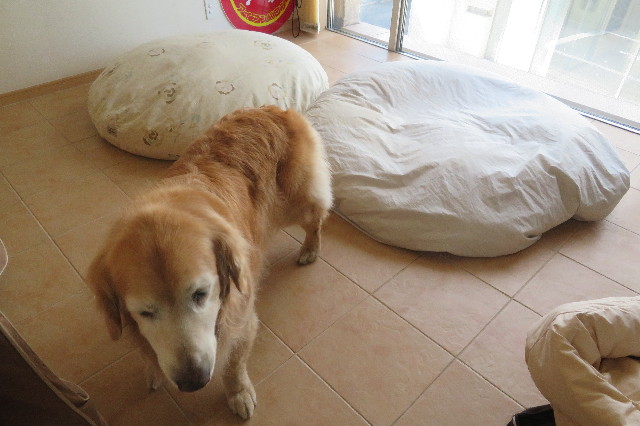 ファイル 6336-2.jpg