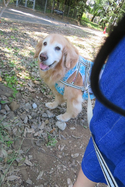 ファイル 6337-1.jpg