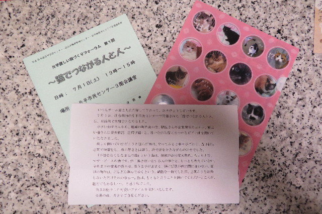 ファイル 6339-1.jpg