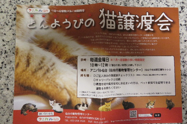 ファイル 6339-2.jpg