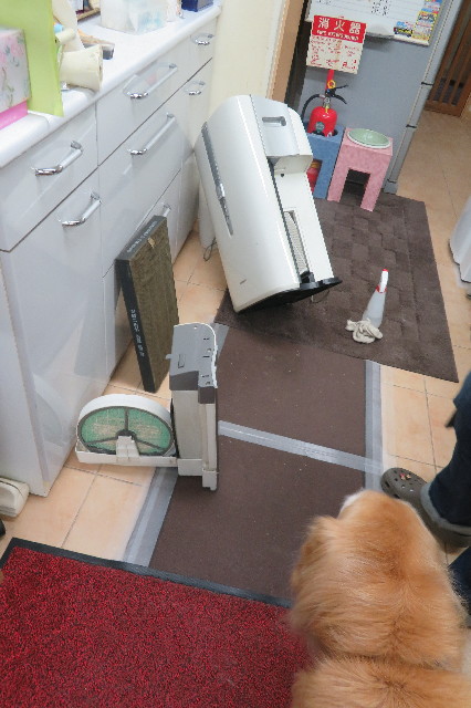 ファイル 6339-3.jpg