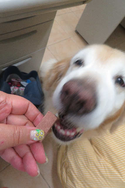 ファイル 6339-4.jpg