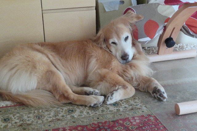 ファイル 6339-5.jpg