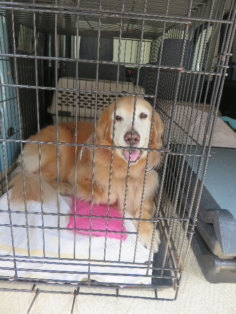 ファイル 6340-1.jpg