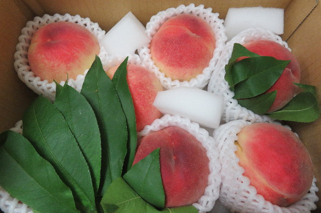 ファイル 6342-4.jpg