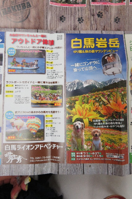 ファイル 6343-2.jpg