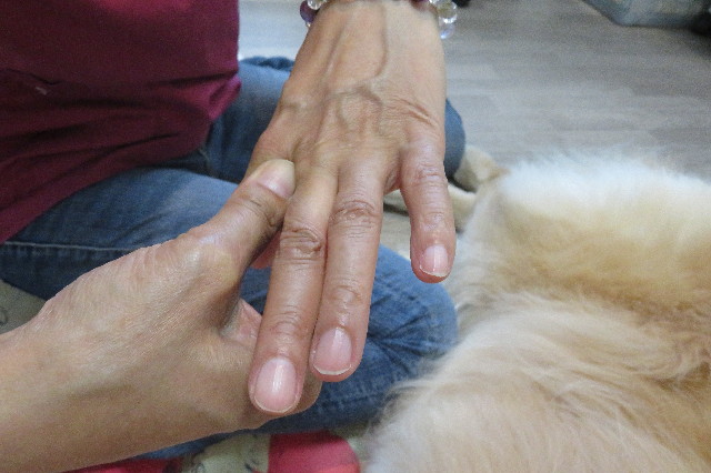 ファイル 6344-3.jpg