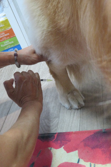 ファイル 6344-5.jpg