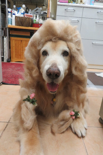 ファイル 6347-3.jpg