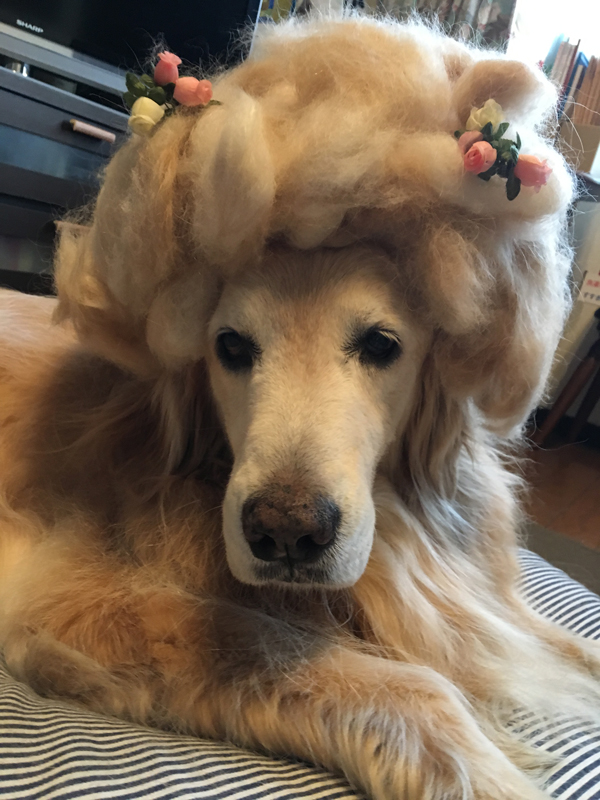 ファイル 6348-2.jpg