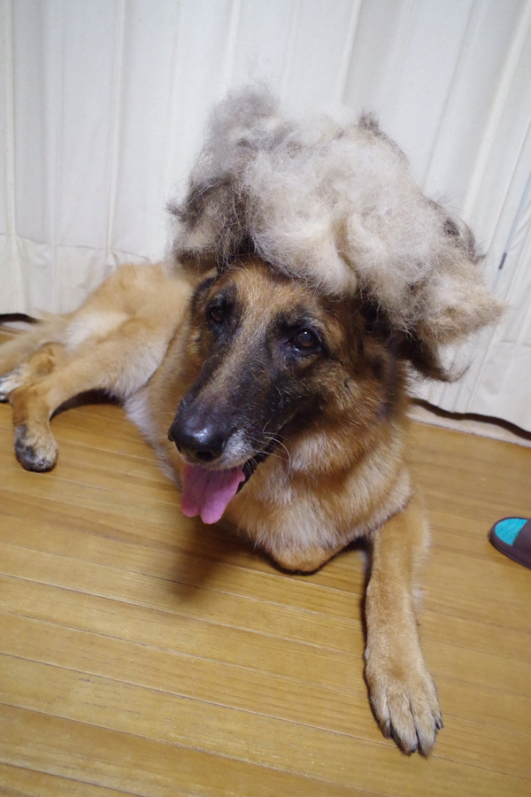 ファイル 6348-3.jpg