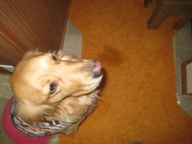 ファイル 635-1.jpg