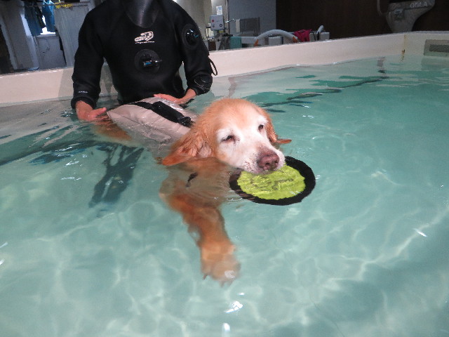 ファイル 6351-4.jpg