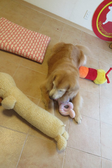 ファイル 6354-4.jpg