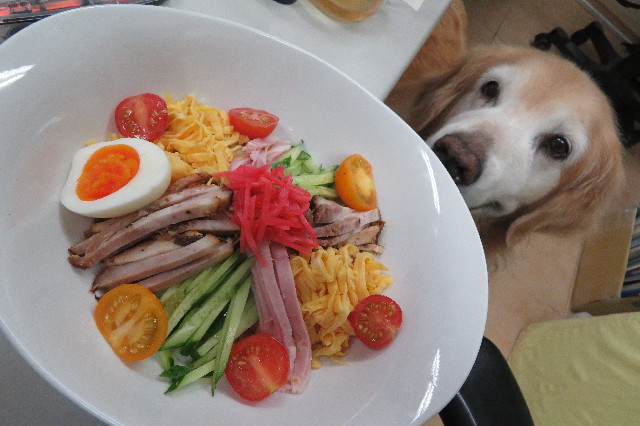 ファイル 6363-2.jpg