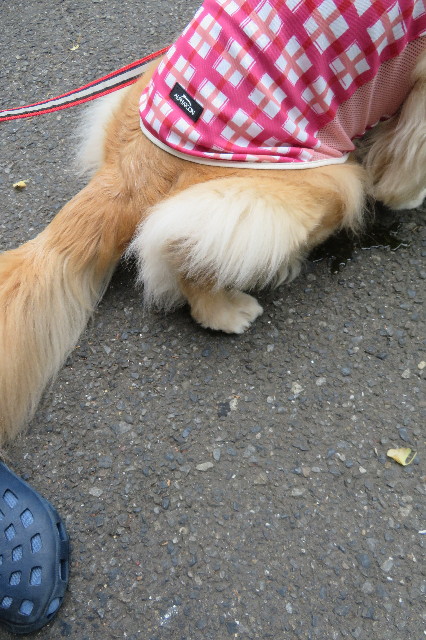 ファイル 6364-1.jpg