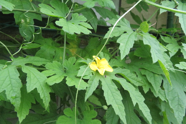 ファイル 6367-2.jpg