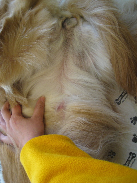 ファイル 637-1.jpg