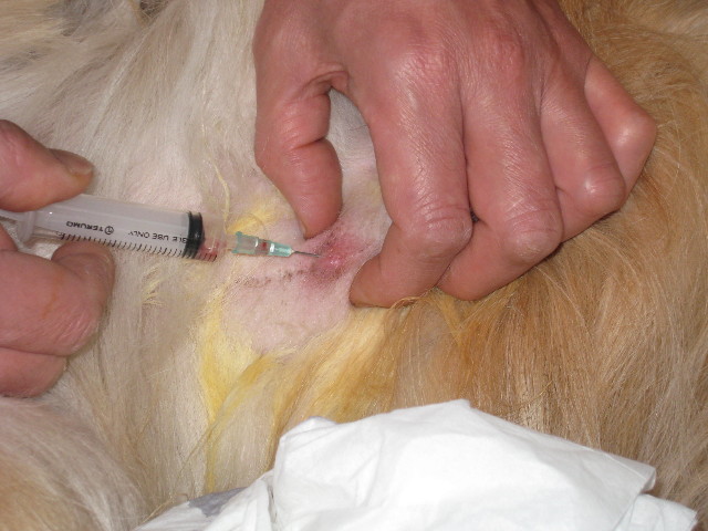 ファイル 637-3.jpg