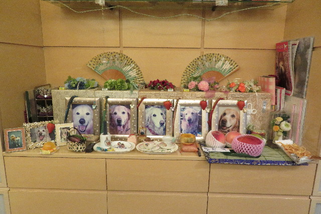 ファイル 6370-5.jpg