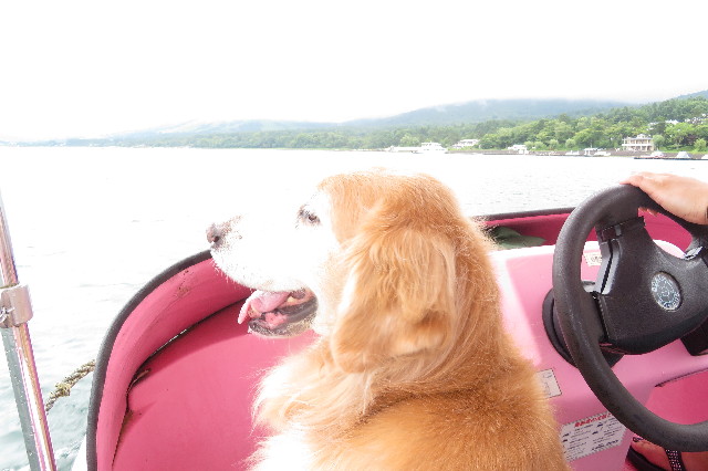 ファイル 6372-3.jpg