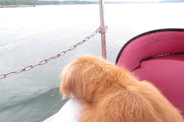 ファイル 6372-4.jpg