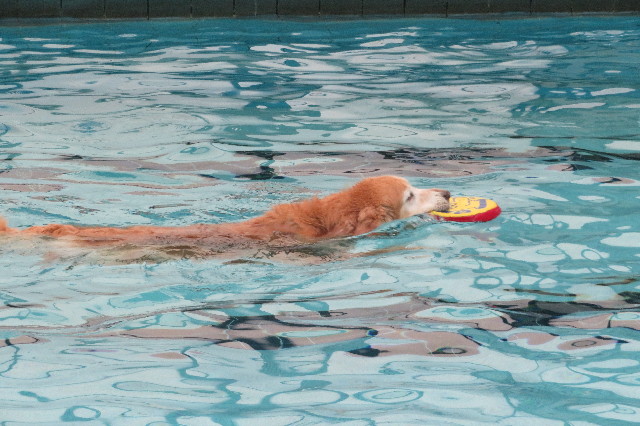 ファイル 6373-3.jpg