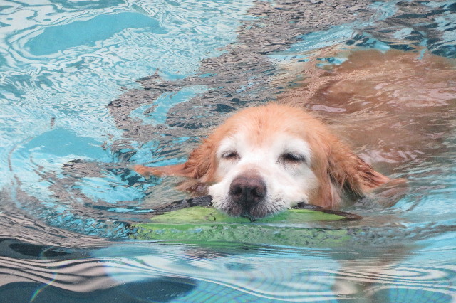 ファイル 6373-4.jpg