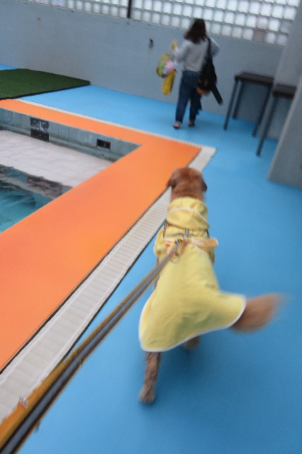 ファイル 6373-5.jpg