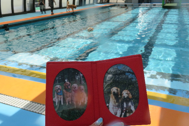 ファイル 6376-1.jpg