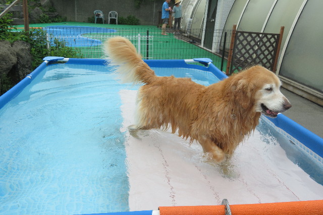 ファイル 6377-2.jpg