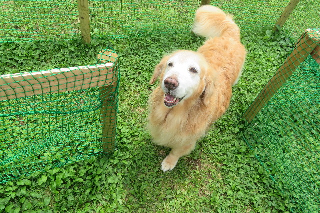 ファイル 6377-3.jpg