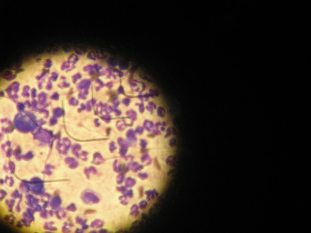 ファイル 638-1.jpg