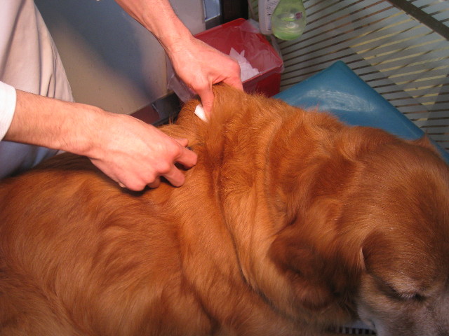 ファイル 638-4.jpg