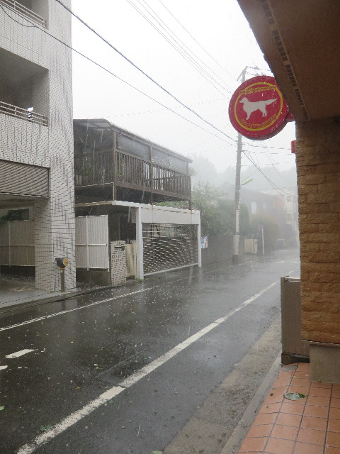 ファイル 6382-2.jpg