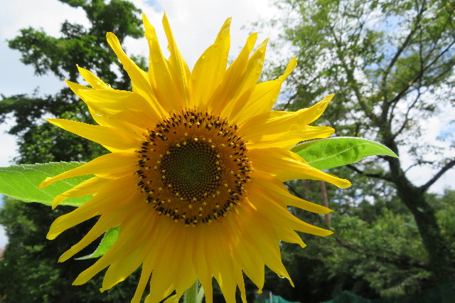 ファイル 6384-2.jpg