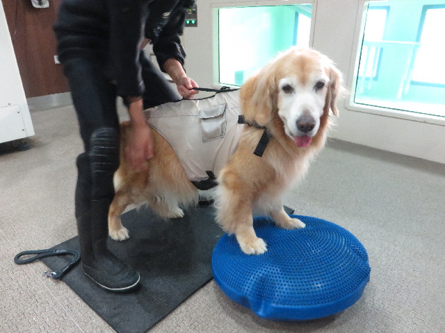 ファイル 6385-2.jpg