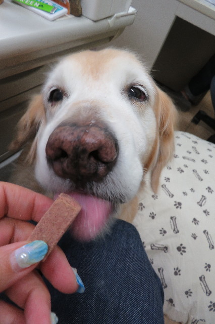 ファイル 6386-1.jpg