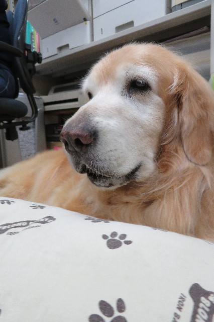 ファイル 6386-2.jpg