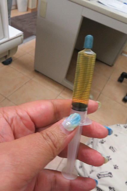 ファイル 6386-3.jpg