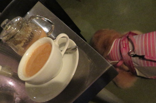 ファイル 6387-1.jpg