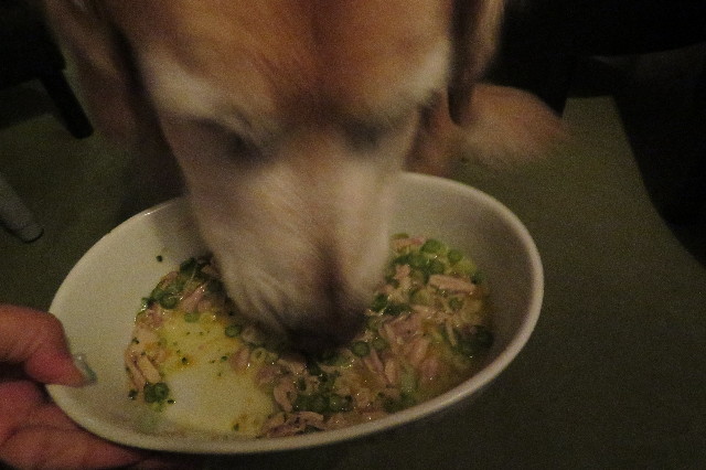 ファイル 6387-2.jpg