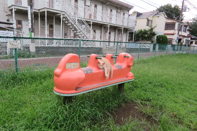 ファイル 6387-4.jpg