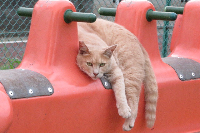 ファイル 6387-5.jpg