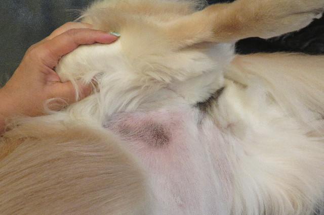 ファイル 6388-5.jpg