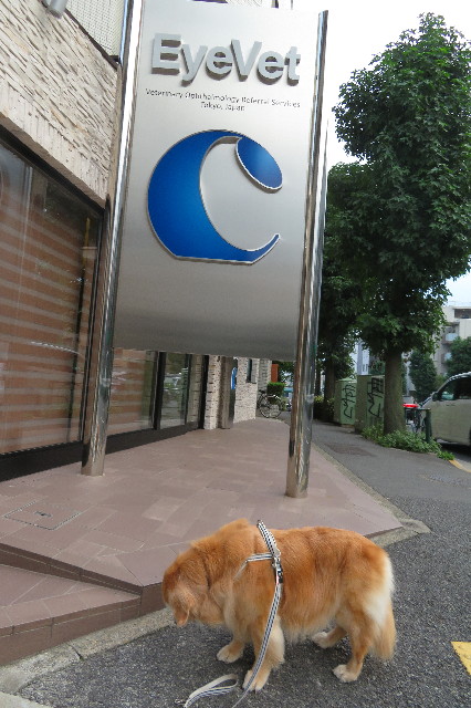 ファイル 6389-1.jpg